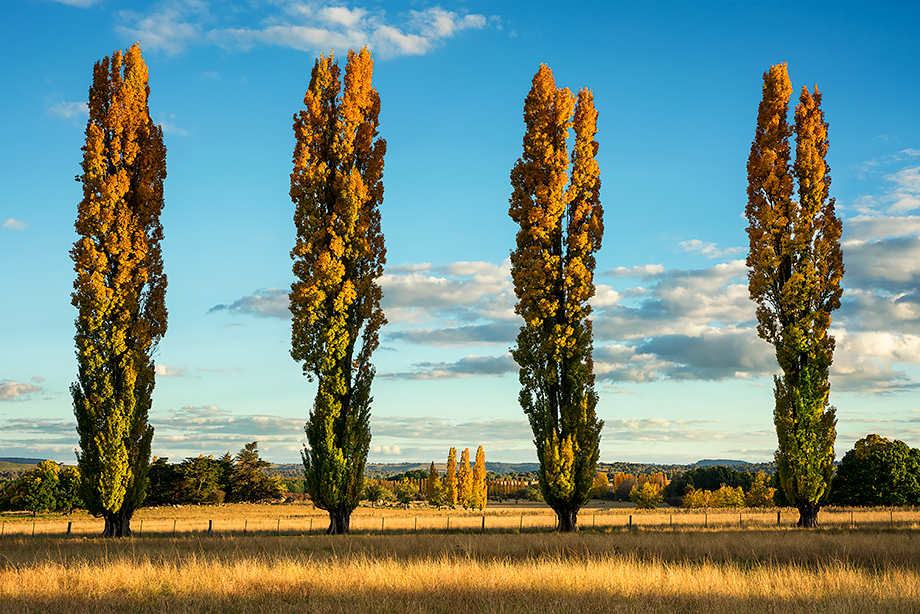 Stonehenge NSW