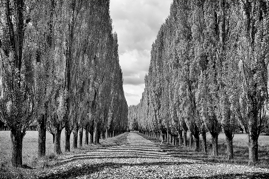 Stonehenge NSW