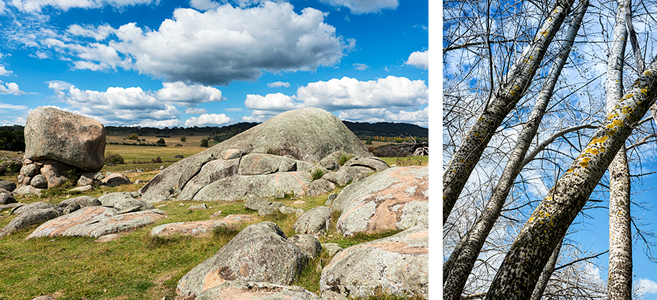 Stonehenge NSW