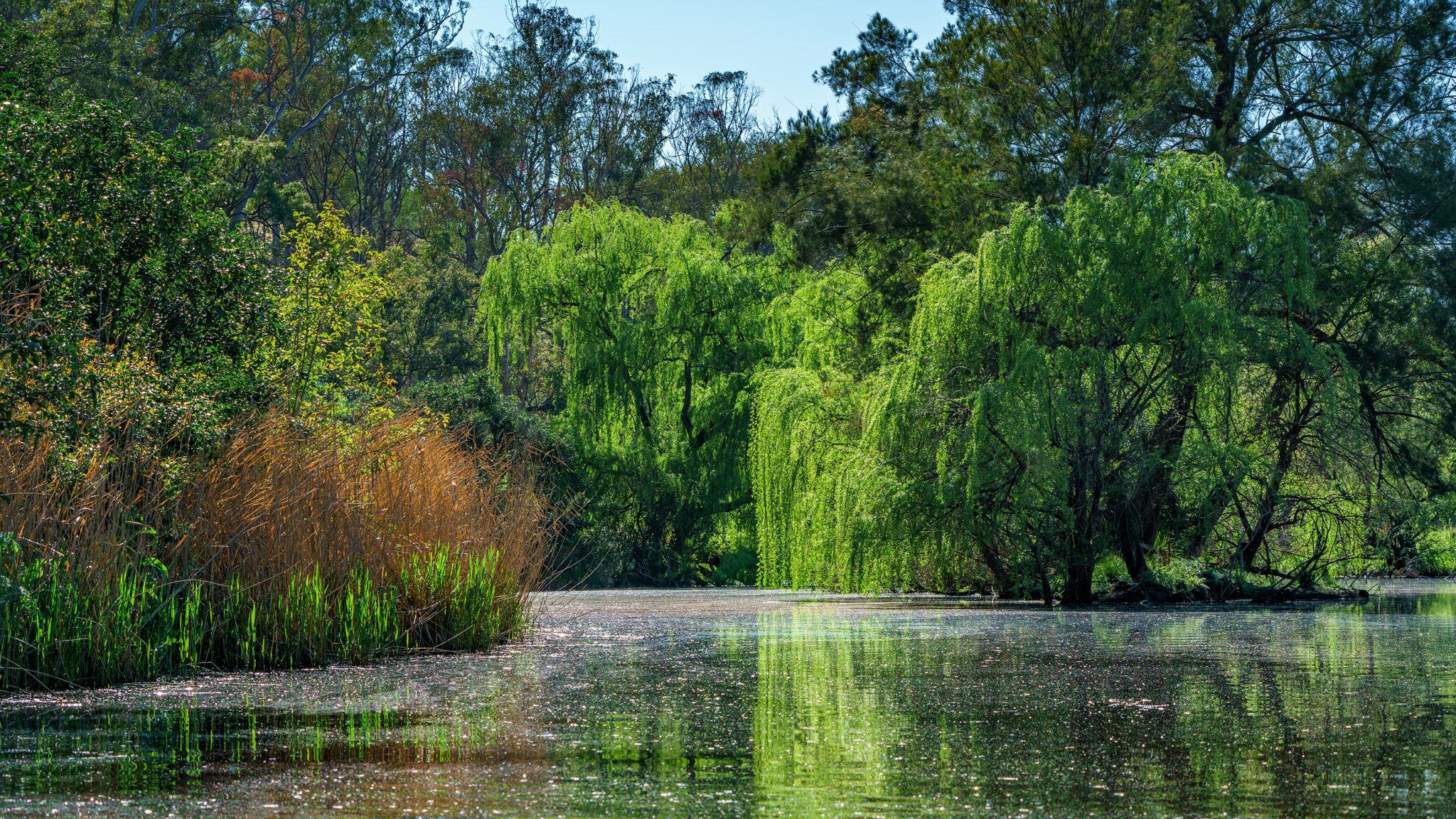 Lake Inverell Revisited | Girt By Sea Photography